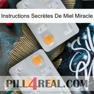 Instructions Secrètes De Miel Miracle 25